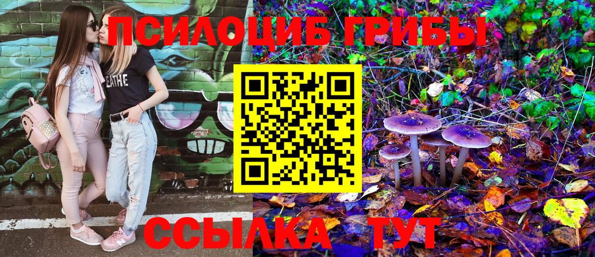 цены наркотик  Вход с VPN  Александров  Галлюциногенные грибы Psilocybine cubensis 